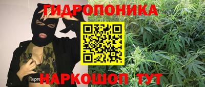 скорость Обь