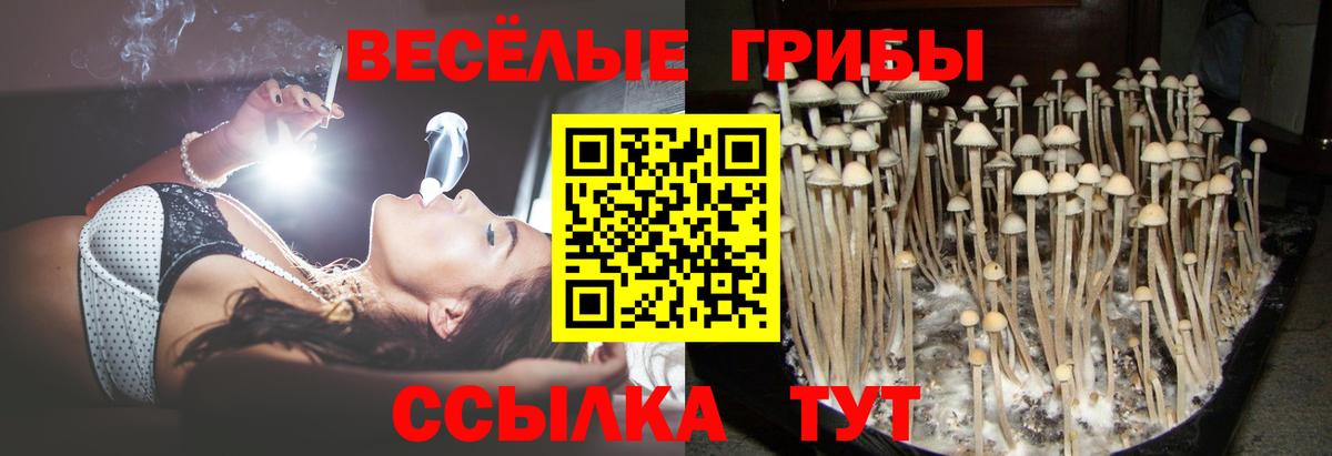 Галлюциногенные грибы прущие грибы Сарапул